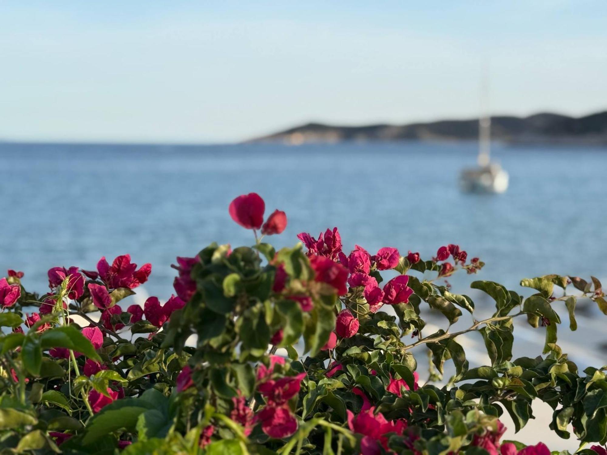 Kohylia Beach Guest House Platis Gialos  Kültér fotó