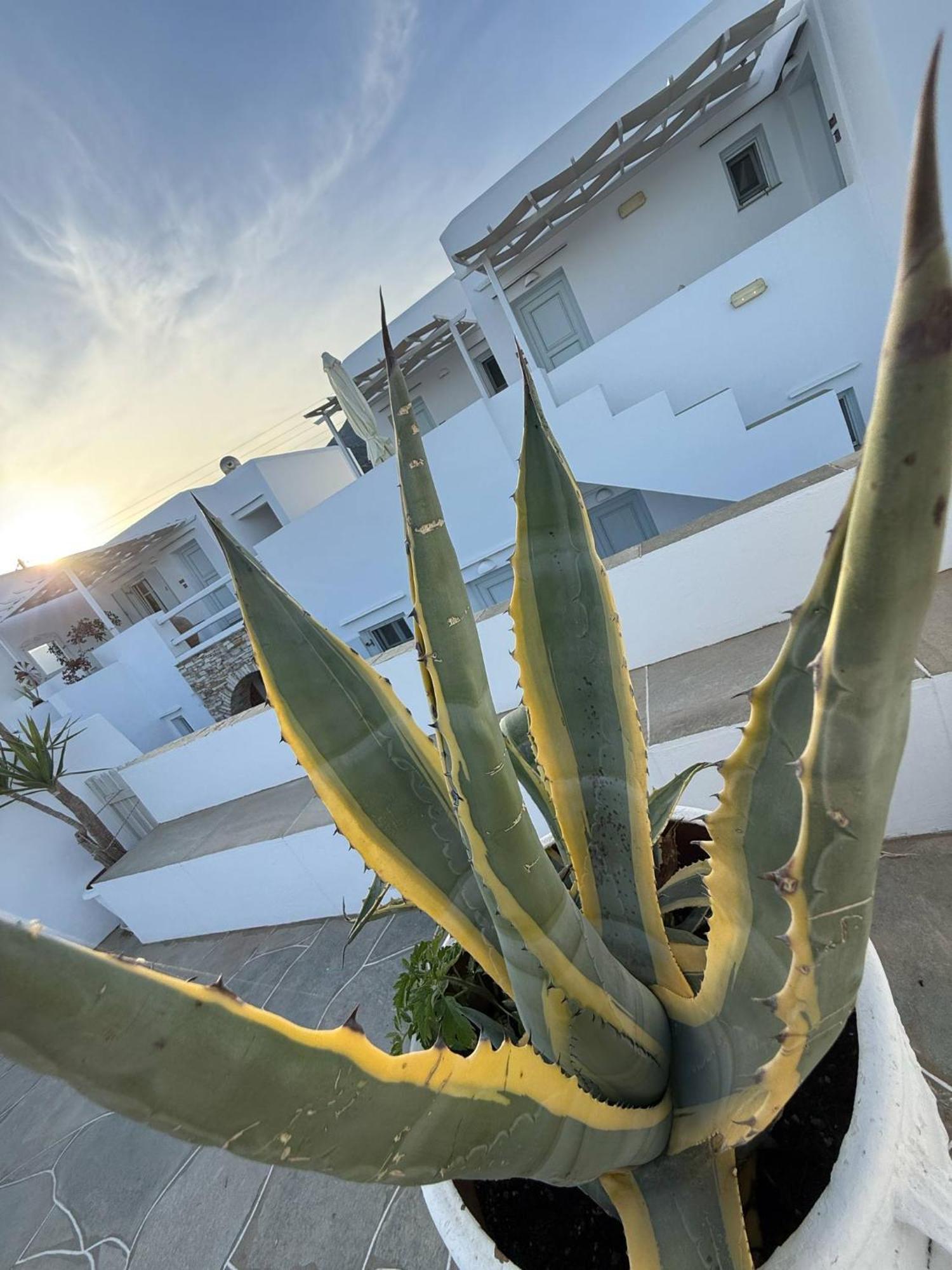 Kohylia Beach Guest House Platis Gialos  Kültér fotó